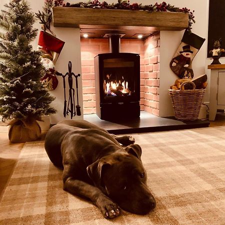 Woodland Cottage - Private Courtyard - Pet Friendly Retreat In The Heart Of Windermere Luaran gambar